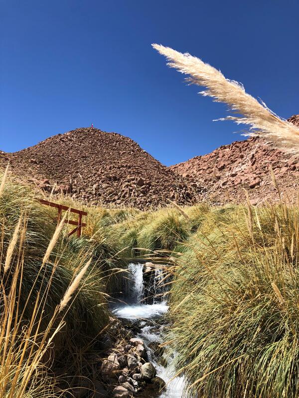 Bello Chile Chile travel photo